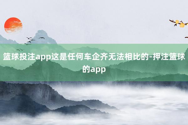 篮球投注app这是任何车企齐无法相比的-押注篮球的app