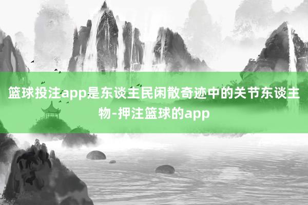 篮球投注app是东谈主民闲散奇迹中的关节东谈主物-押注篮球的app