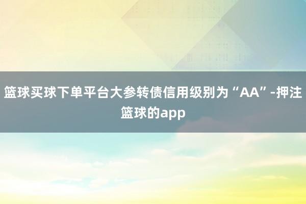 篮球买球下单平台大参转债信用级别为“AA”-押注篮球的app