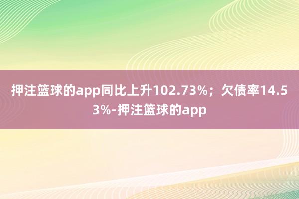 押注篮球的app同比上升102.73%；欠债率14.53%-押注篮球的app