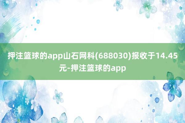 押注篮球的app山石网科(688030)报收于14.45元-押注篮球的app