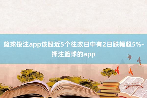 篮球投注app该股近5个往改日中有2日跌幅超5%-押注篮球的app