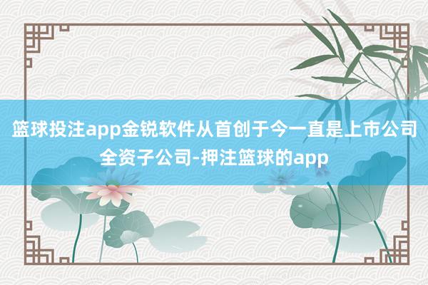 篮球投注app金锐软件从首创于今一直是上市公司全资子公司-押注篮球的app