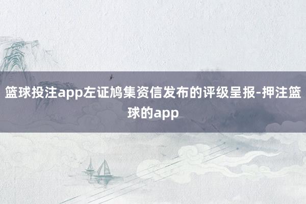 篮球投注app左证鸠集资信发布的评级呈报-押注篮球的app