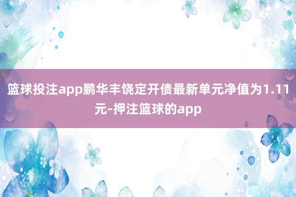 篮球投注app鹏华丰饶定开债最新单元净值为1.11元-押注篮球的app