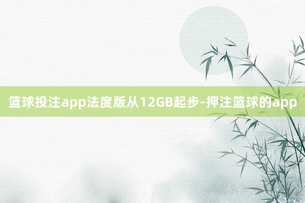 篮球投注app法度版从12GB起步-押注篮球的app