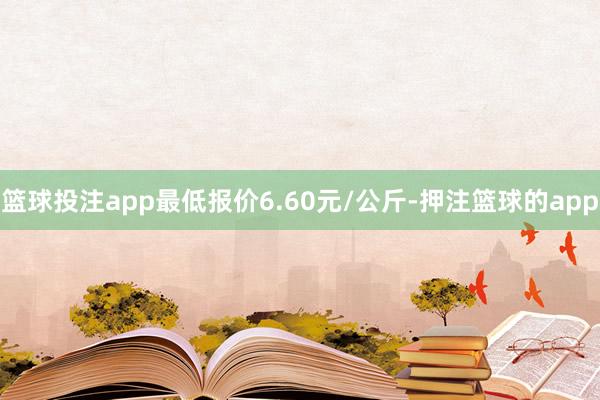 篮球投注app最低报价6.60元/公斤-押注篮球的app