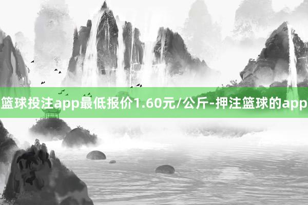 篮球投注app最低报价1.60元/公斤-押注篮球的app