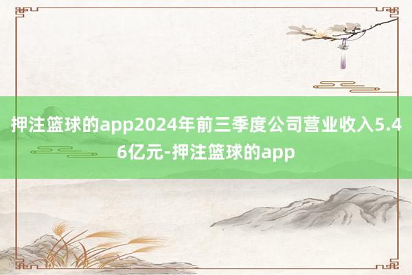 押注篮球的app2024年前三季度公司营业收入5.46亿元-押注篮球的app