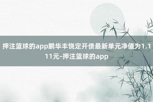 押注篮球的app鹏华丰饶定开债最新单元净值为1.111元-押注篮球的app