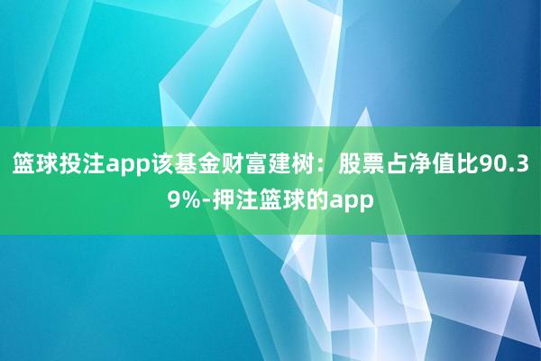 篮球投注app该基金财富建树：股票占净值比90.39%-押注篮球的app