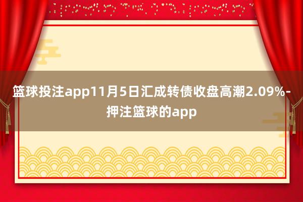 篮球投注app11月5日汇成转债收盘高潮2.09%-押注篮球的app