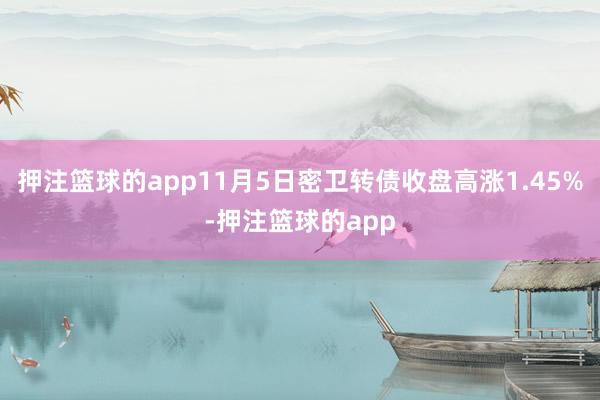 押注篮球的app11月5日密卫转债收盘高涨1.45%-押注篮球的app