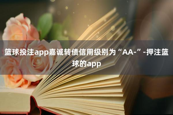 篮球投注app嘉诚转债信用级别为“AA-”-押注篮球的app