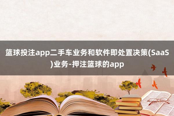 篮球投注app二手车业务和软件即处置决策(SaaS)业务-押注篮球的app