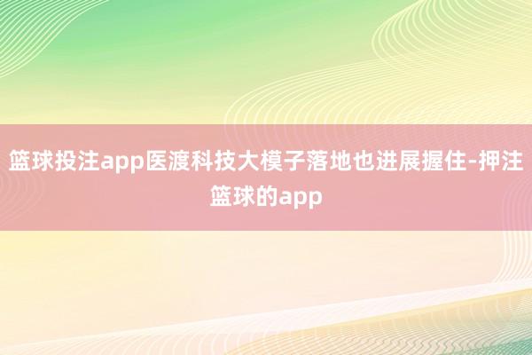 篮球投注app医渡科技大模子落地也进展握住-押注篮球的app