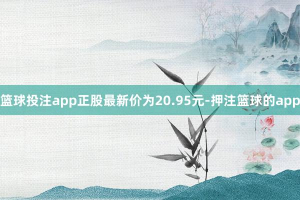 篮球投注app正股最新价为20.95元-押注篮球的app