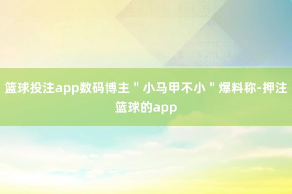 篮球投注app数码博主＂小马甲不小＂爆料称-押注篮球的app