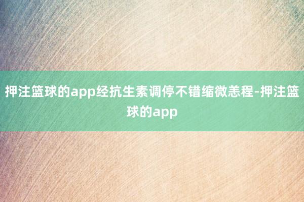 押注篮球的app经抗生素调停不错缩微恙程-押注篮球的app