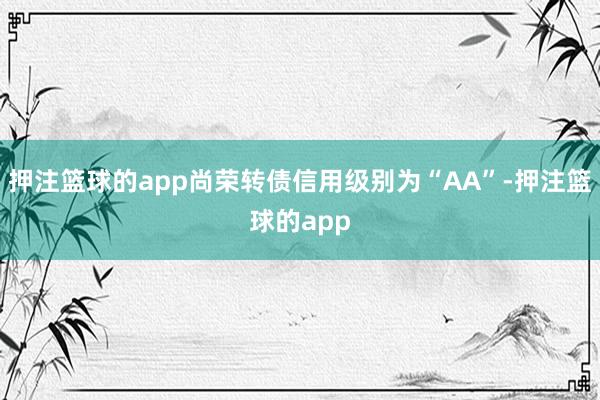 押注篮球的app尚荣转债信用级别为“AA”-押注篮球的app