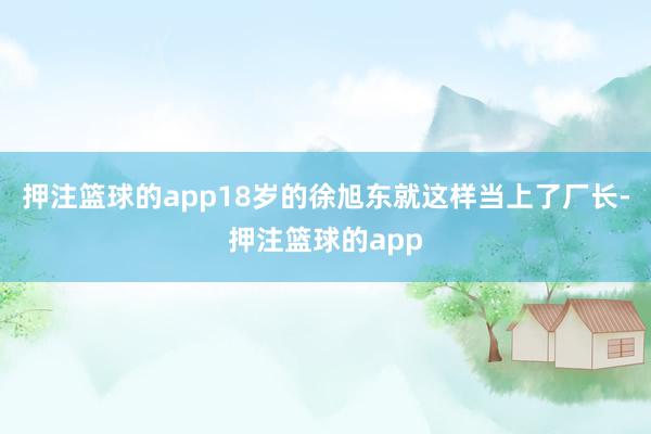 押注篮球的app18岁的徐旭东就这样当上了厂长-押注篮球的app