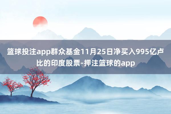 篮球投注app群众基金11月25日净买入995亿卢比的印度股票-押注篮球的app