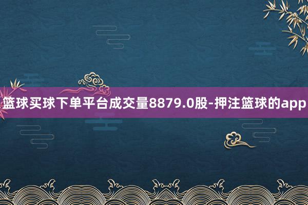 篮球买球下单平台成交量8879.0股-押注篮球的app