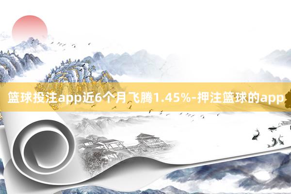 篮球投注app近6个月飞腾1.45%-押注篮球的app