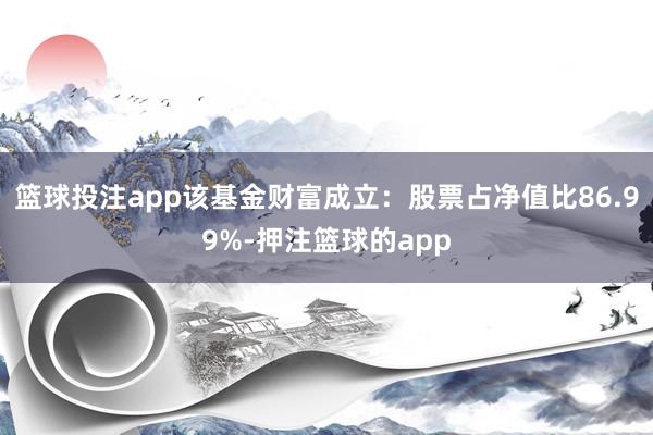 篮球投注app该基金财富成立：股票占净值比86.99%-押注篮球的app