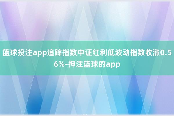 篮球投注app追踪指数中证红利低波动指数收涨0.56%-押注篮球的app