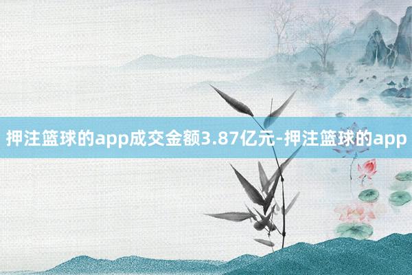 押注篮球的app成交金额3.87亿元-押注篮球的app