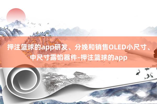 押注篮球的app研发、分娩和销售OLED小尺寸、中尺寸露馅器件-押注篮球的app