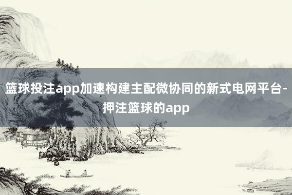 篮球投注app加速构建主配微协同的新式电网平台-押注篮球的app