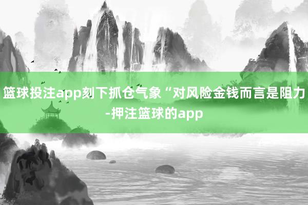 篮球投注app刻下抓仓气象“对风险金钱而言是阻力-押注篮球的app