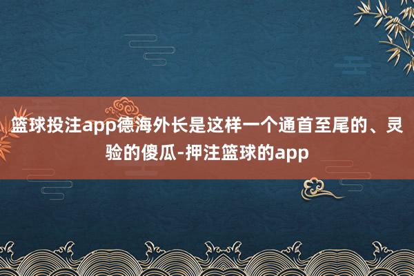 篮球投注app德海外长是这样一个通首至尾的、灵验的傻瓜-押注篮球的app