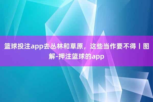 篮球投注app去丛林和草原，这些当作要不得丨图解-押注篮球的app