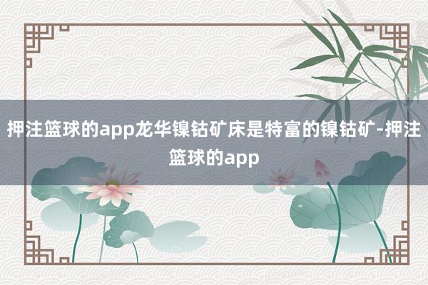 押注篮球的app龙华镍钴矿床是特富的镍钴矿-押注篮球的app