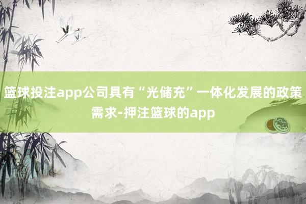 篮球投注app公司具有“光储充”一体化发展的政策需求-押注篮球的app
