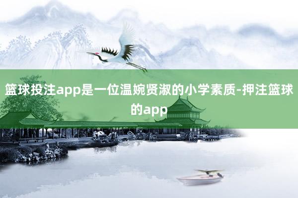篮球投注app是一位温婉贤淑的小学素质-押注篮球的app
