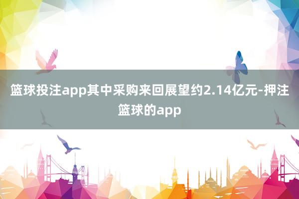 篮球投注app其中采购来回展望约2.14亿元-押注篮球的app