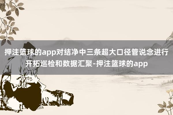 押注篮球的app对结净中三条超大口径管说念进行开拓巡检和数据汇聚-押注篮球的app