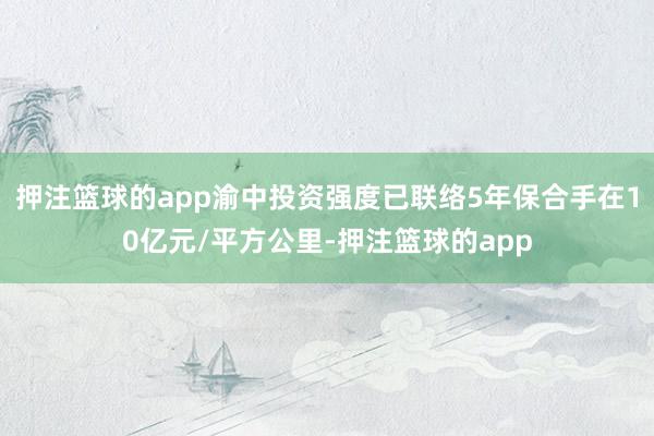 押注篮球的app渝中投资强度已联络5年保合手在10亿元/平方公里-押注篮球的app